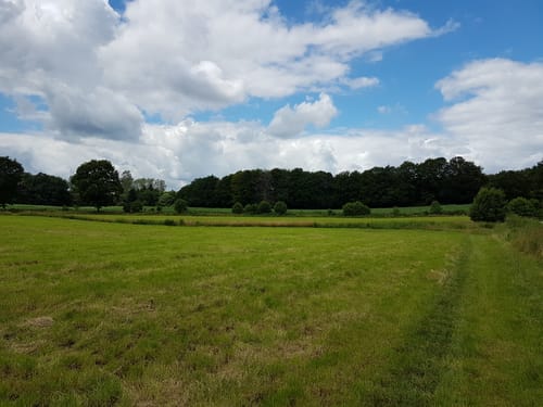 Goosefeld-Damendorf