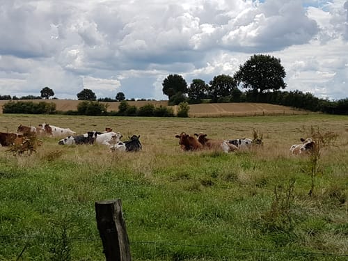 Wanderroute 10: Groß Wittensee - Kirchhorst
