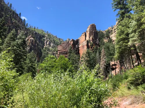 10 Best Forest Trails in Arizona | AllTrails