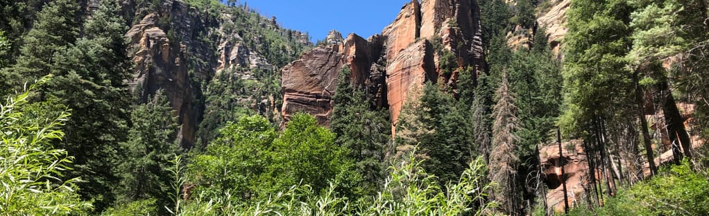 are dogs allowed in the west fork trail sedona