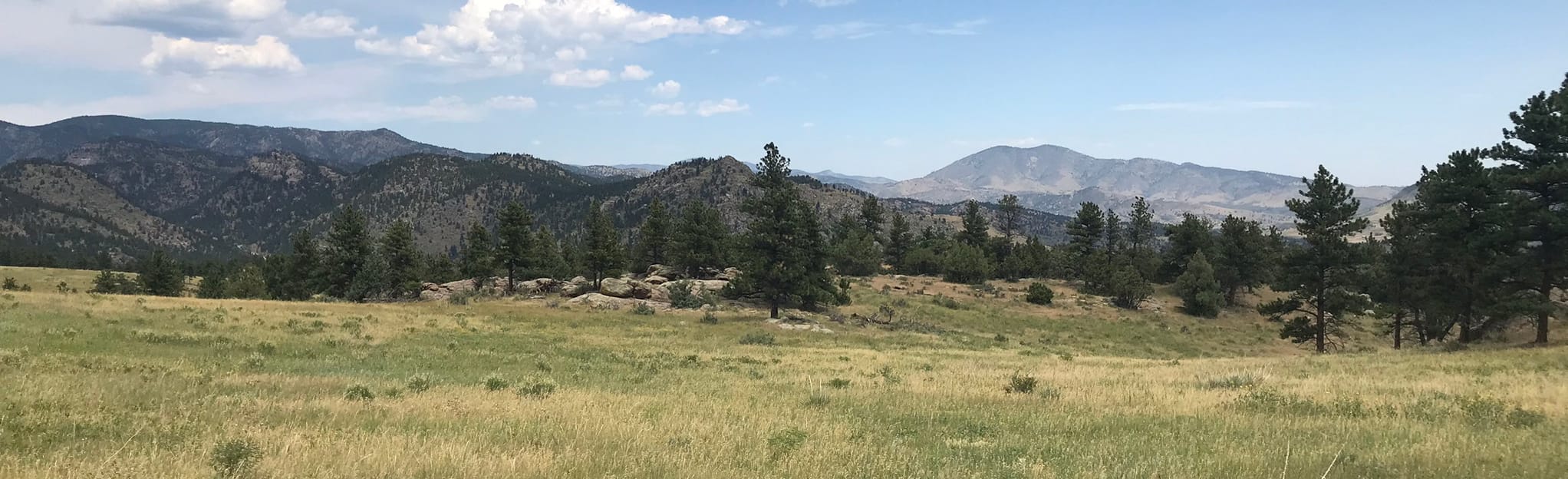 Antelope, Bitterbrush, Nelson Loop, Colorado - 287 Reviews, Map | AllTrails