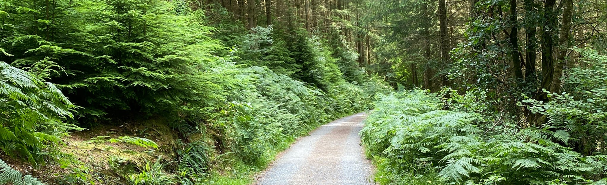 Clifford Bridge to Fingle Bridge, Devon, England 46 Reviews, Map