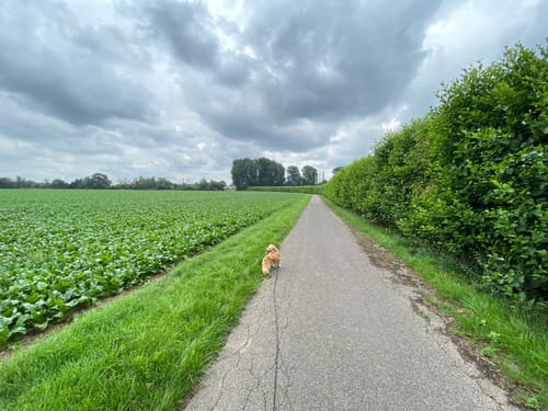 Zu den Schlösserm Leyenburg und Bloemersheim