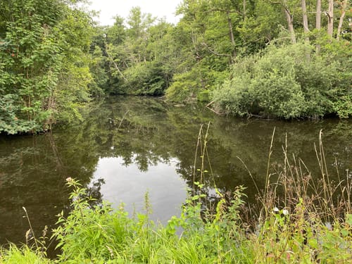 Zu den Schlösserm Leyenburg und Bloemersheim