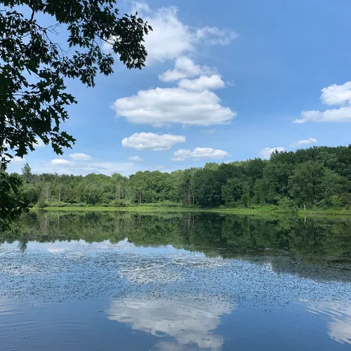 Best Hikes and Trails in Holloway Regional Park AllTrails