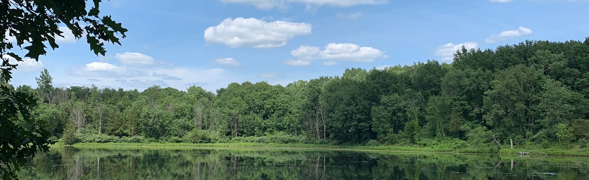 AllTrails Holloway Regional Park Loop 418 Reviews, Map Michigan