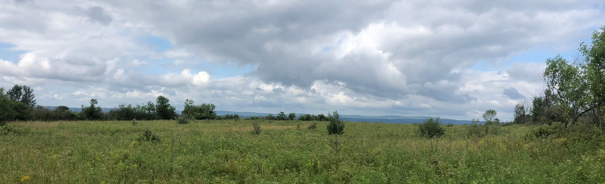 Burdett to Dunham LeanTo via North Country Trail, New York 21