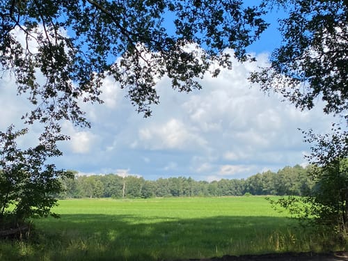 Grafschafter Fietsentour, Rundroute 23
