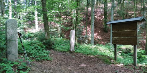 Themenwanderweg-Ringelai