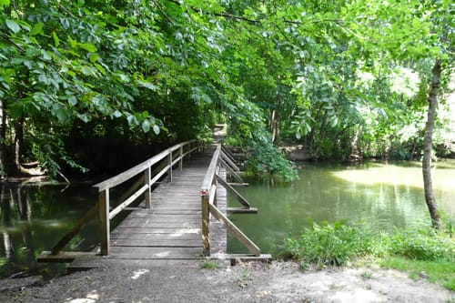 Bad Rappenau - Wollenberg Runde