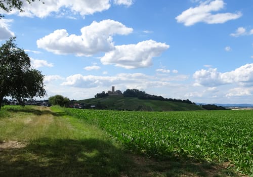 Kraichgautour Siegelsbach