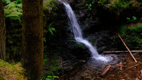Naturpark-Weg - Kühles Tal - Friedrichroda