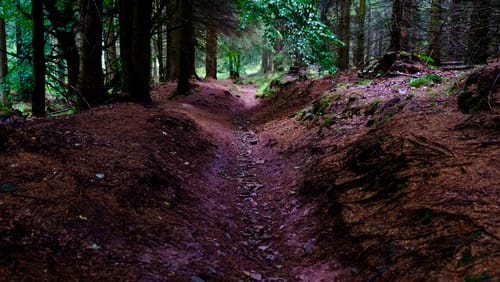 Naturpark-Weg - Kühles Tal - Friedrichroda