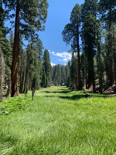 Sequoia national park top alltrails