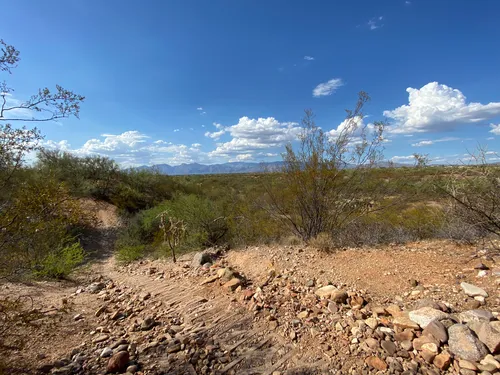 Best hikes and trails in Fantasy Island Mountain Bike Park AllTrails