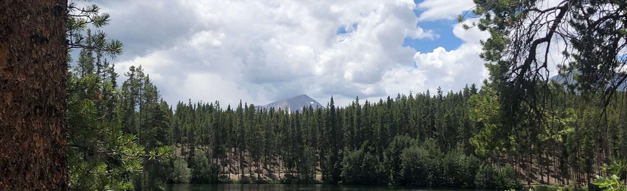 Leadville Fish Hatchery Nature Trail, Colorado 172 Reviews, Map