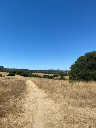 10 Best Trails And Hikes In Castro Valley Alltrails 6755