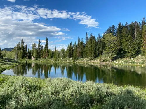 10 Best Lake Trails in Caribou-Targhee National Forest | AllTrails