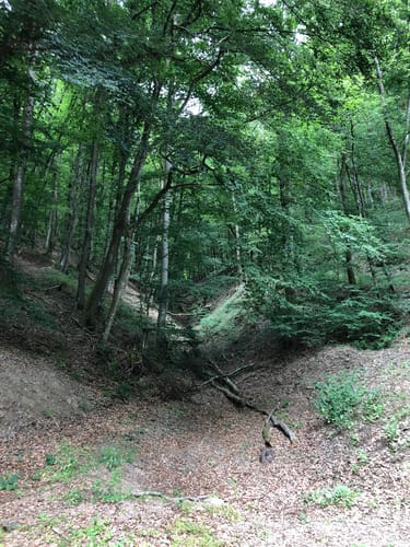 Runde an der Enz