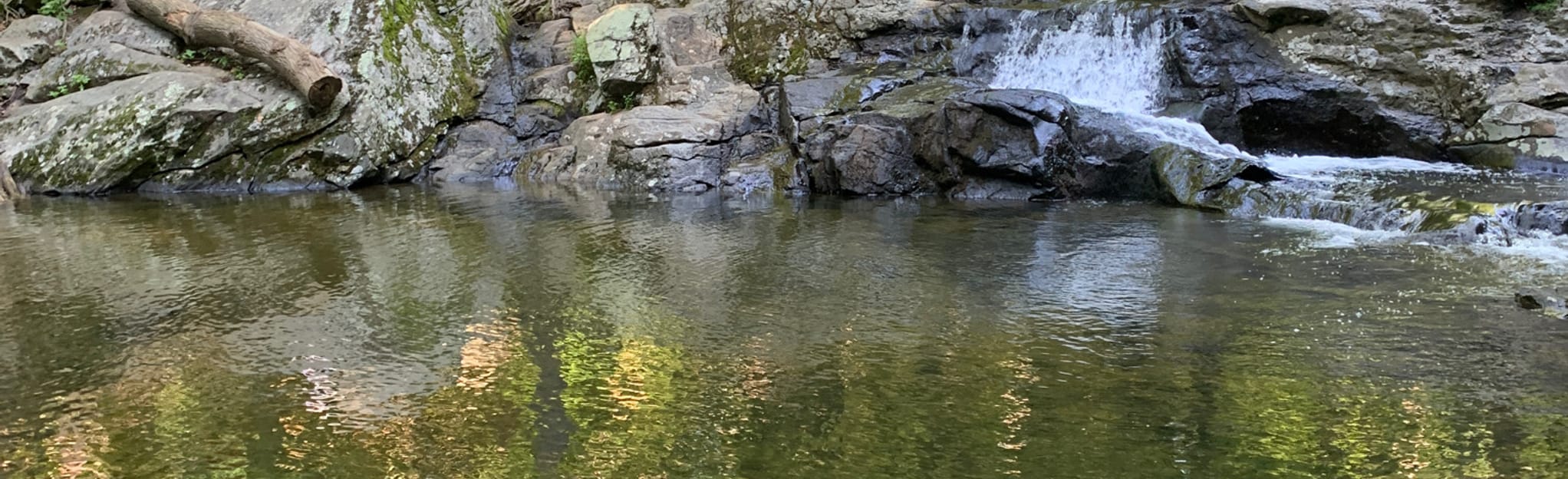 Buttermilk Falls and Frog Pond Loop, New Jersey 505 Reviews, Map