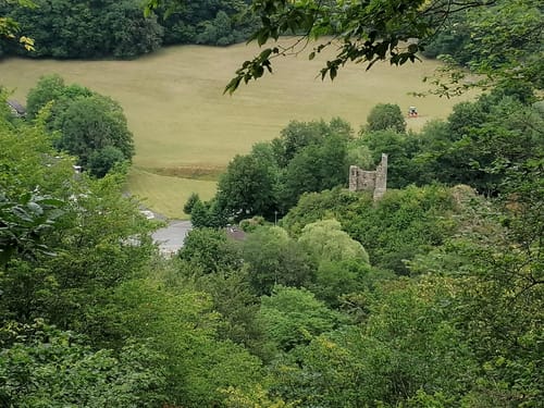 Wispertalsteig (Premiumwanderweg)