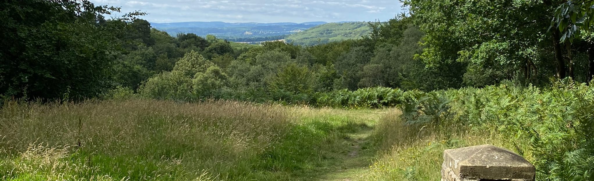 Haslemere to Liss 129 foto's Surrey, Engeland AllTrails