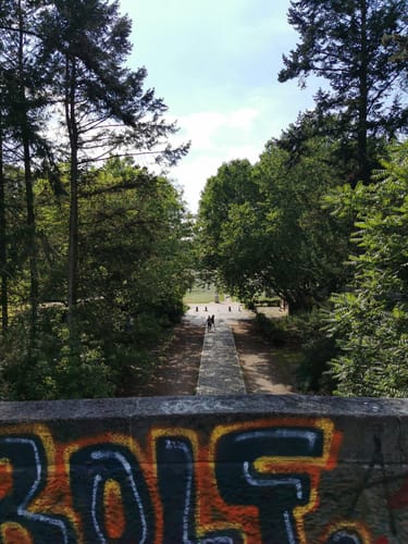 Durch den Volkspark Rehberge