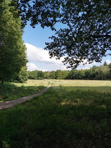 Durch den Volkspark Rehberge