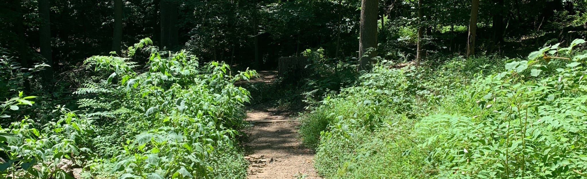 Rock Creek Woodland Trail, District of Columbia 44 Reviews, Map