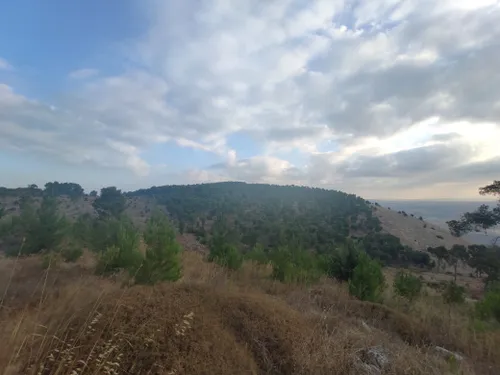 Cerro -  Israel