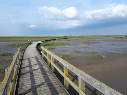 Langwarder Groden