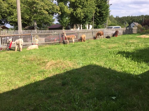 Rund um Stöcken