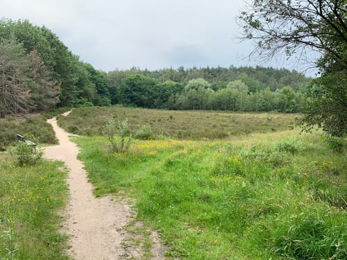 Heidemoore im Nettetal mit Sequoiafarm
