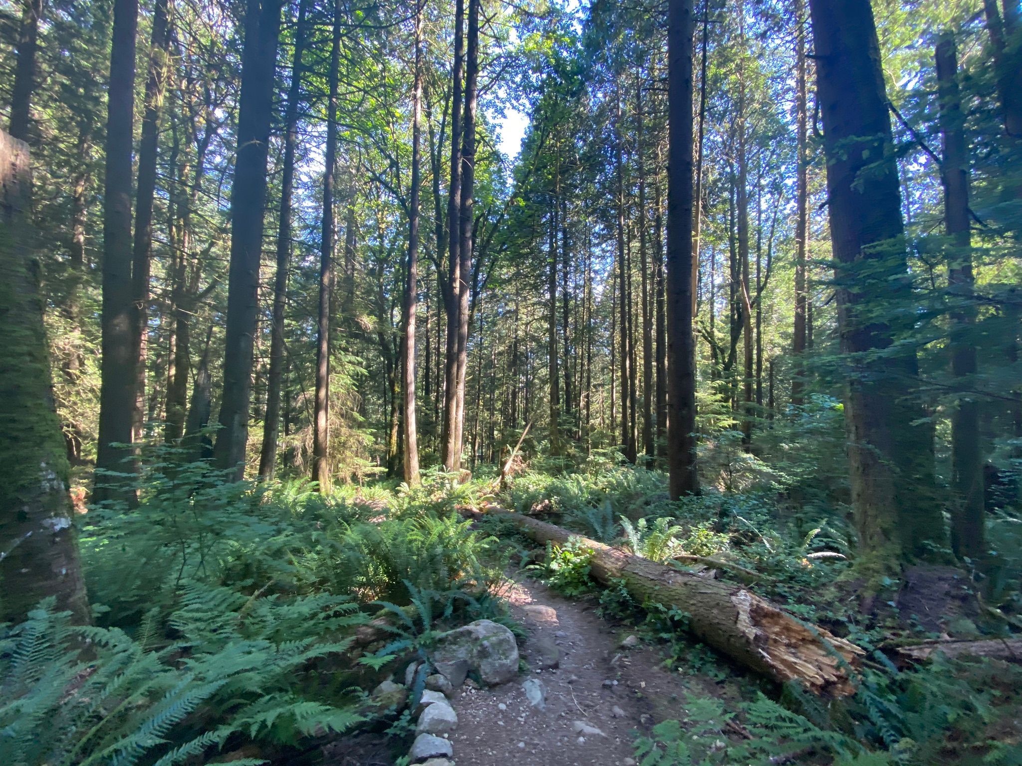 Photos of Paulines Rock Loop - British Columbia, Canada | AllTrails