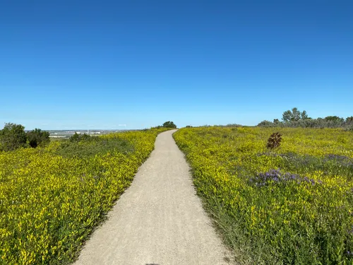 Nose hill bike online trails