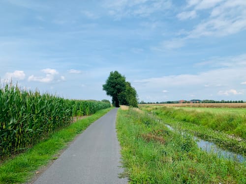 Werseradweg