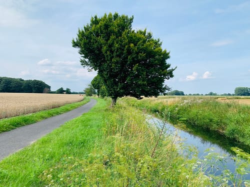 Wabe 152 Drensteinfurt