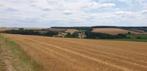 Aus Breitfurt nach Rimschweiler