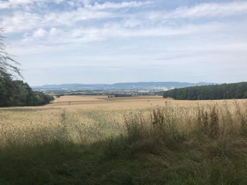 Niester Riesen P11 (Premiumwanderweg)
