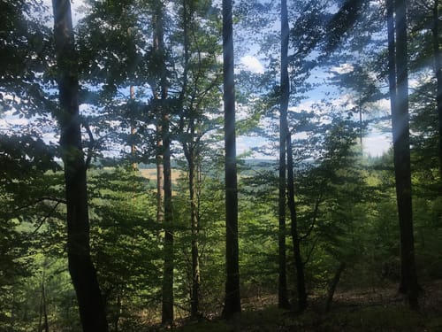 Hohe Wart Runde