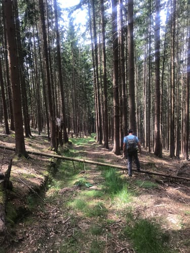 Hohe Wart Runde