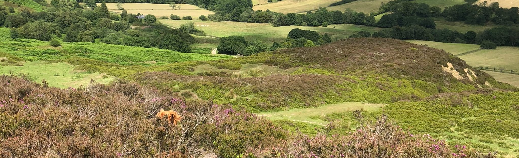 Rosedale Abbey Calcining Kilns and Iron Mines, North Yorkshire, England 79 Reviews, Map