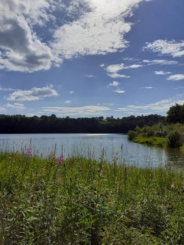 Le barrage de Butgenbach