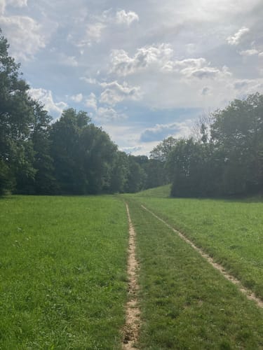 Ludwigsburg - Lemberg Rundweg
