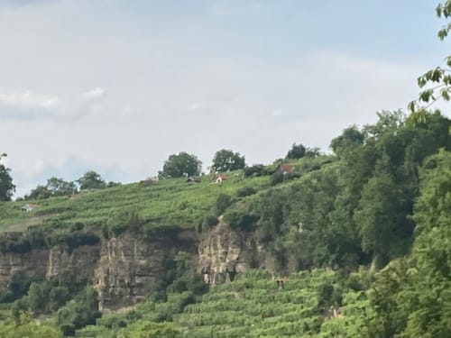 Ludwigsburg - Lemberg Rundweg
