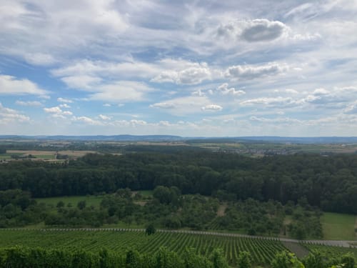 Ludwigsburg - Lemberg Rundweg