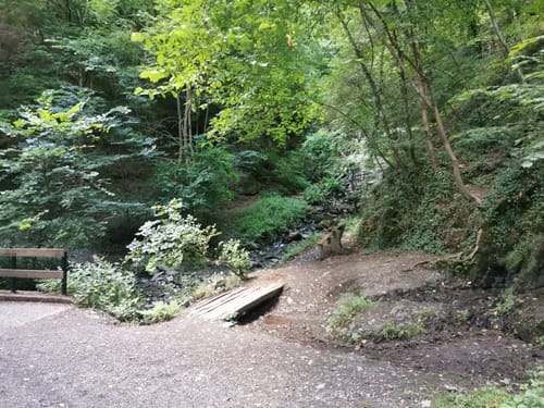 Klosterweg-Schleife Rengsdorfer Panoramaweg