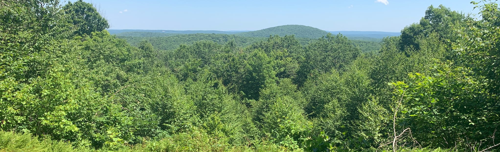 Becket Quarry Loop 177 Reviews, Map Massachusetts AllTrails