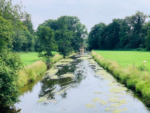 Wabe 218 Lauheide