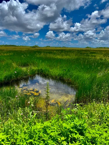 10 Best Hikes and Trails in Everglades National Park